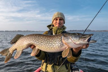 Ouverture Brochet 2025 Nouvelle Taille Légale Et Fenêtre De Capture, Vérifiez Pour Votre Département
