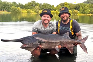 Retour Surprise Avec La Pêche D'un Poisson Préhistorique (polyodon Spathula) Dans Ce Lac