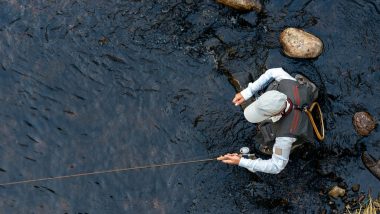 Choisir Ses Chaussures De Wading