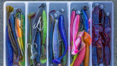 Pollution Leurre Souple